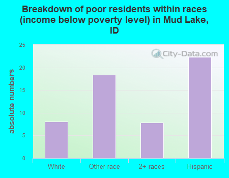 Breakdown of poor residents within races (income below poverty level) in Mud Lake, ID