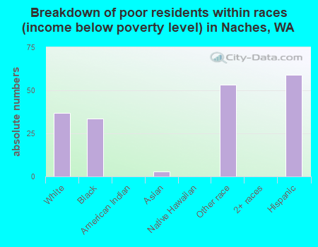 Breakdown of poor residents within races (income below poverty level) in Naches, WA
