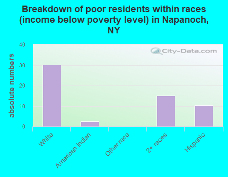 Breakdown of poor residents within races (income below poverty level) in Napanoch, NY