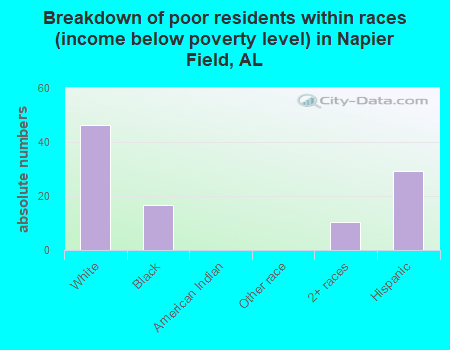 Breakdown of poor residents within races (income below poverty level) in Napier Field, AL