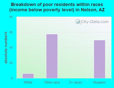 Breakdown of poor residents within races (income below poverty level) in Nelson, AZ