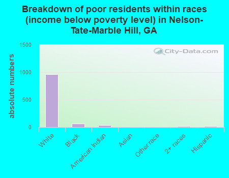 Breakdown of poor residents within races (income below poverty level) in Nelson-Tate-Marble Hill, GA