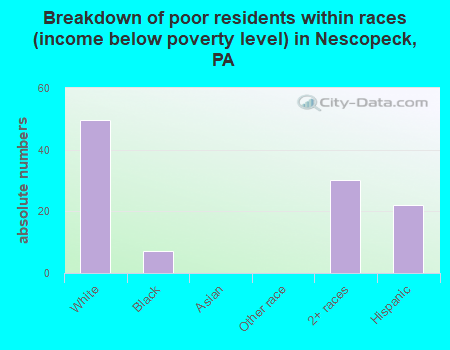 Breakdown of poor residents within races (income below poverty level) in Nescopeck, PA