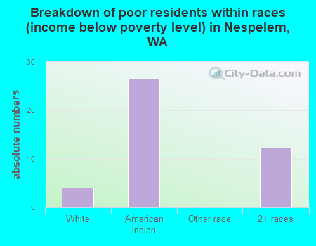 Breakdown of poor residents within races (income below poverty level) in Nespelem, WA
