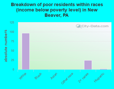 Breakdown of poor residents within races (income below poverty level) in New Beaver, PA