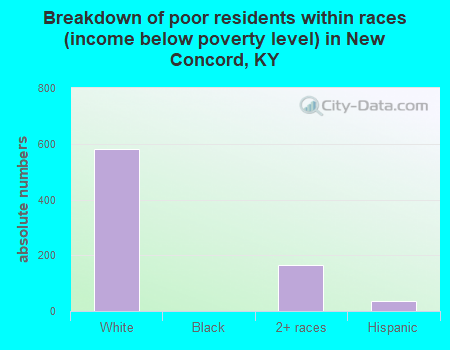 Breakdown of poor residents within races (income below poverty level) in New Concord, KY