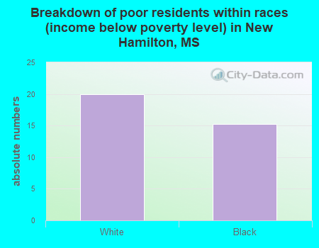Breakdown of poor residents within races (income below poverty level) in New Hamilton, MS