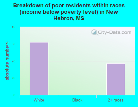 Breakdown of poor residents within races (income below poverty level) in New Hebron, MS