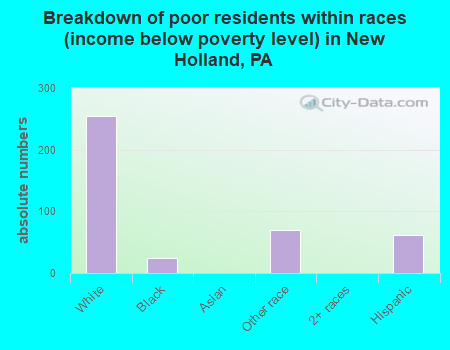 Breakdown of poor residents within races (income below poverty level) in New Holland, PA