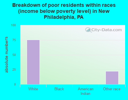 Breakdown of poor residents within races (income below poverty level) in New Philadelphia, PA