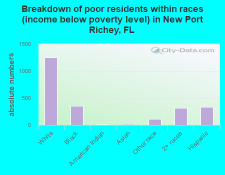 Breakdown of poor residents within races (income below poverty level) in New Port Richey, FL