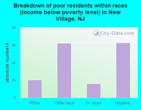 Breakdown of poor residents within races (income below poverty level) in New Village, NJ