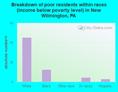 Breakdown of poor residents within races (income below poverty level) in New Wilmington, PA