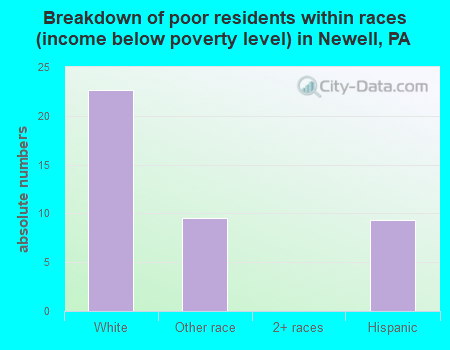 Breakdown of poor residents within races (income below poverty level) in Newell, PA