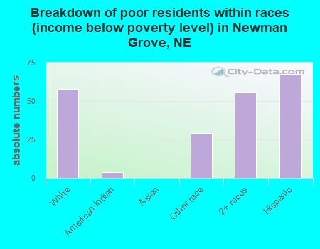 Breakdown of poor residents within races (income below poverty level) in Newman Grove, NE