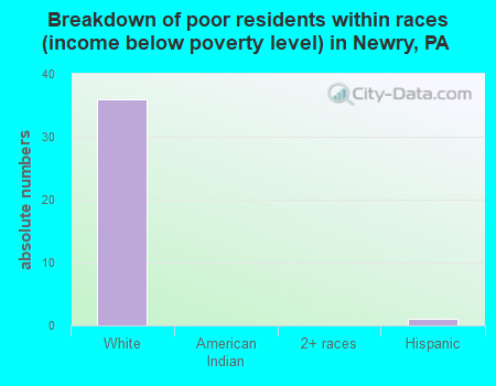 Breakdown of poor residents within races (income below poverty level) in Newry, PA