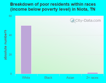 Breakdown of poor residents within races (income below poverty level) in Niota, TN