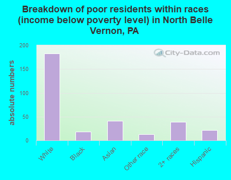 Breakdown of poor residents within races (income below poverty level) in North Belle Vernon, PA