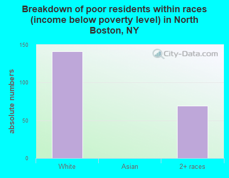 Breakdown of poor residents within races (income below poverty level) in North Boston, NY