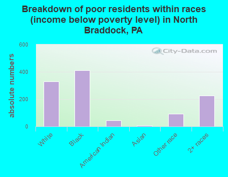 Breakdown of poor residents within races (income below poverty level) in North Braddock, PA