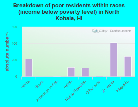 Breakdown of poor residents within races (income below poverty level) in North Kohala, HI