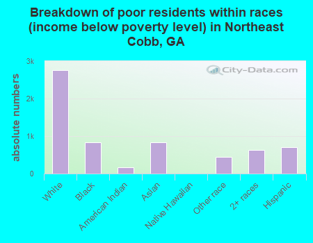 Breakdown of poor residents within races (income below poverty level) in Northeast Cobb, GA