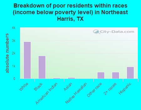 Breakdown of poor residents within races (income below poverty level) in Northeast Harris, TX