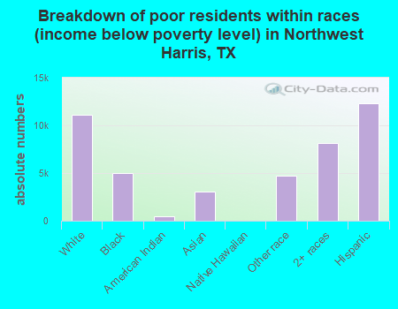 Breakdown of poor residents within races (income below poverty level) in Northwest Harris, TX