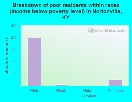 Breakdown of poor residents within races (income below poverty level) in Nortonville, KY
