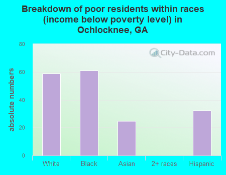 Breakdown of poor residents within races (income below poverty level) in Ochlocknee, GA