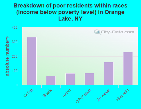 Breakdown of poor residents within races (income below poverty level) in Orange Lake, NY