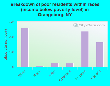 Breakdown of poor residents within races (income below poverty level) in Orangeburg, NY