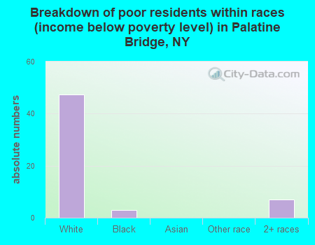 Breakdown of poor residents within races (income below poverty level) in Palatine Bridge, NY