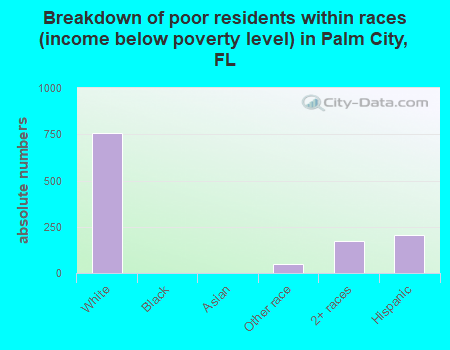 Breakdown of poor residents within races (income below poverty level) in Palm City, FL
