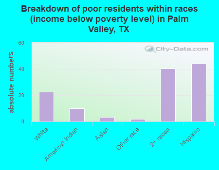 Breakdown of poor residents within races (income below poverty level) in Palm Valley, TX