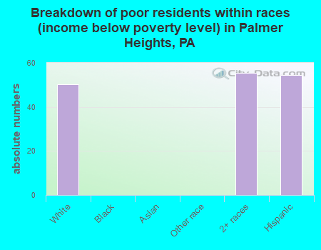 Breakdown of poor residents within races (income below poverty level) in Palmer Heights, PA