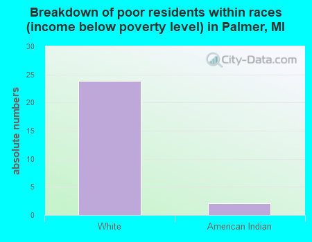Breakdown of poor residents within races (income below poverty level) in Palmer, MI
