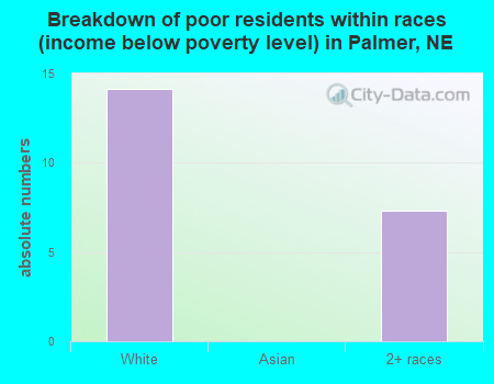 Breakdown of poor residents within races (income below poverty level) in Palmer, NE