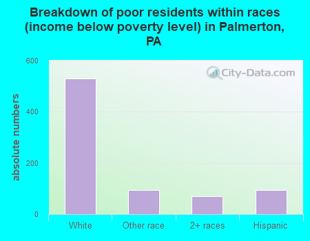 Breakdown of poor residents within races (income below poverty level) in Palmerton, PA