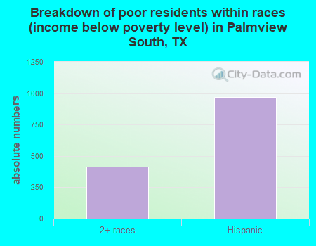 Breakdown of poor residents within races (income below poverty level) in Palmview South, TX