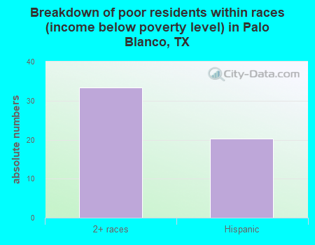 Breakdown of poor residents within races (income below poverty level) in Palo Blanco, TX