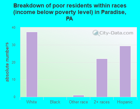 Breakdown of poor residents within races (income below poverty level) in Paradise, PA