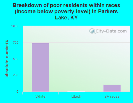 Breakdown of poor residents within races (income below poverty level) in Parkers Lake, KY