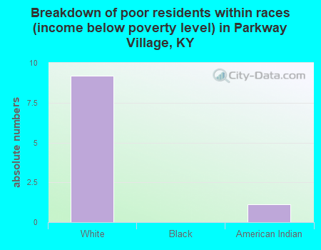Breakdown of poor residents within races (income below poverty level) in Parkway Village, KY