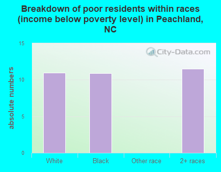 Breakdown of poor residents within races (income below poverty level) in Peachland, NC
