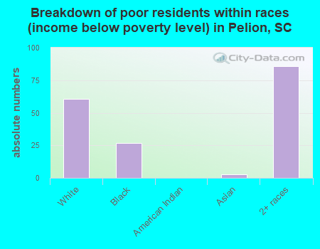Breakdown of poor residents within races (income below poverty level) in Pelion, SC