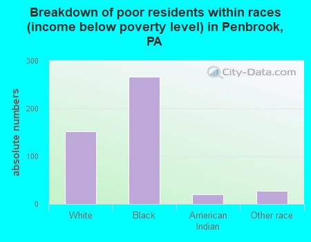 Breakdown of poor residents within races (income below poverty level) in Penbrook, PA