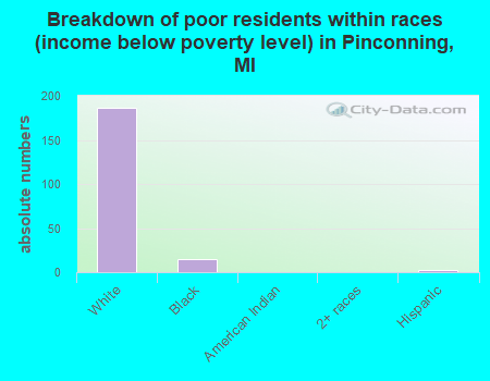 Breakdown of poor residents within races (income below poverty level) in Pinconning, MI