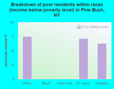 Breakdown of poor residents within races (income below poverty level) in Pine Bush, NY