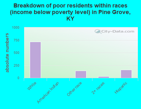 Breakdown of poor residents within races (income below poverty level) in Pine Grove, KY
